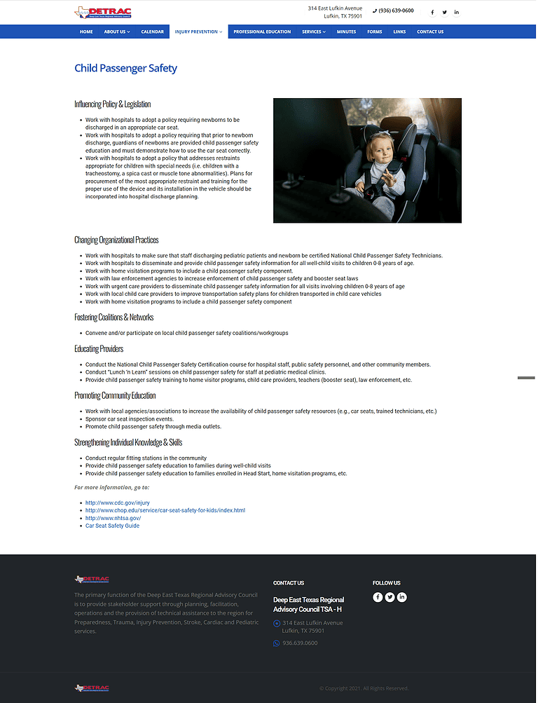 DETRAC Website Design Screenshot - Child Passenger Safety