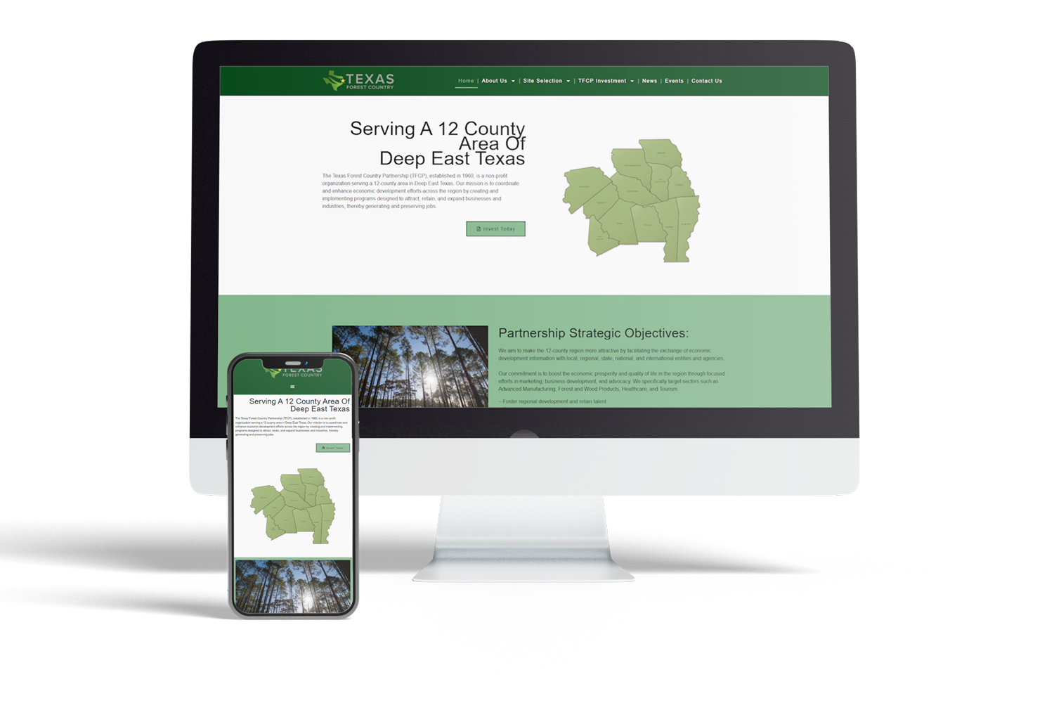 East Texas Web Design & Local SEO 2 TFCP_Layout
